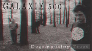 Galaxie 500 - Decomposing Trees (subtítulos español)