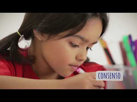 MERCOSUR institutional video