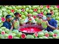 WATERMELON JUICE Farm Fresh Fruit Juice Making Watermelon Craft Watermelon Experiment