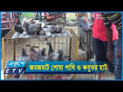 চুয়াডাঙ্গায় জমজমাট  পোষা পাখি ও কবুতর হাট