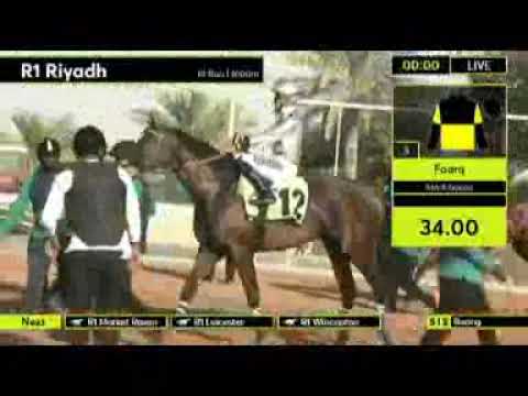 Sportwetten Pferdewetten Pferderennen in Riyadh/Saudi Arabien am 1.12.2022