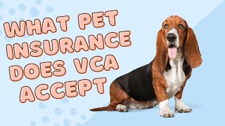 VCA Pet Insurance Review: Coverage Details / vca insurance