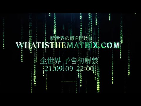 「マトリックス 4」: 最初の予告編への期待を高めるインタラクティブな Web サイト