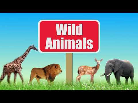 Wild animals and their habitats for kids | Wild animals names | Animals | Kids Channel