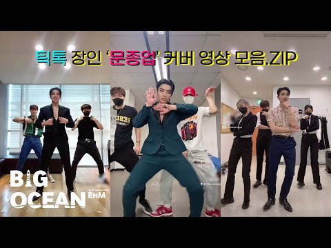 🌟틱톡 장인🌟 문종업(Moon Jong Up) 커버 영상 모음.ZIP