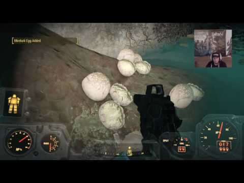 Nuka world bottling plant