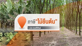 [Live] จับตารอบทิศนอกรอบ | 21 พ.ย. 66