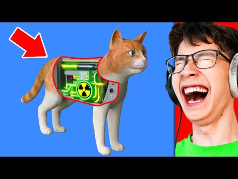 Reacting to How a Cat Works (Funny Animation)