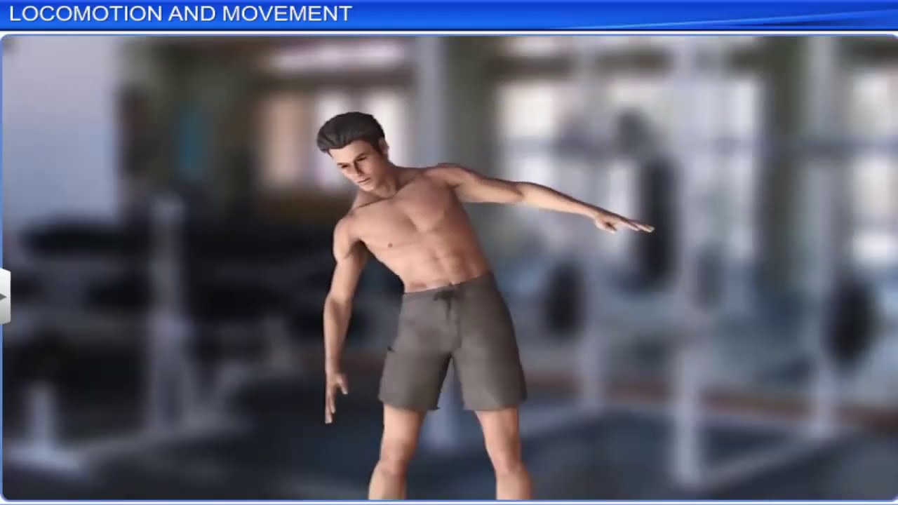 CBSE Class 11 Biology Locomotion And Movement Full Chapter By Shiksha House