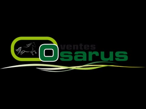 Osarus - Vente de Yearling 2016 - La Teste