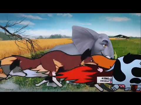 Animals stampede running on the river field