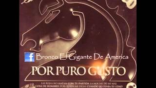 Bronco 2013 - Corazon Borracho