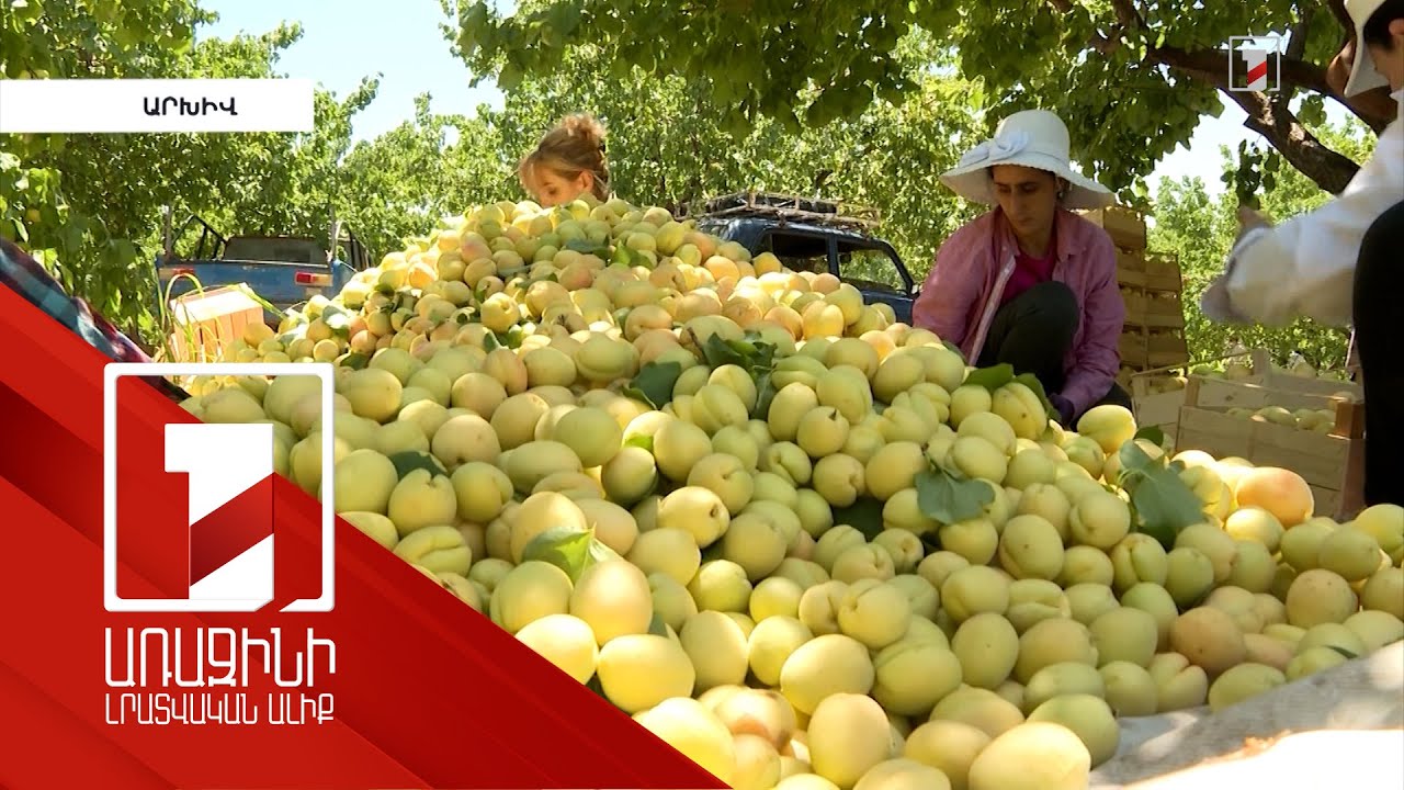 Մթերման դիմաց վճարումը չուշացնել. ՄՊՀ հորդորը