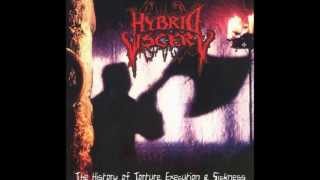Hybrid Viscery - Grind Your Head