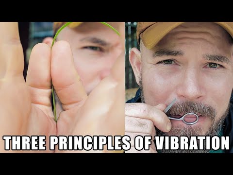 Three Principles of Vibration by Charlie Porter