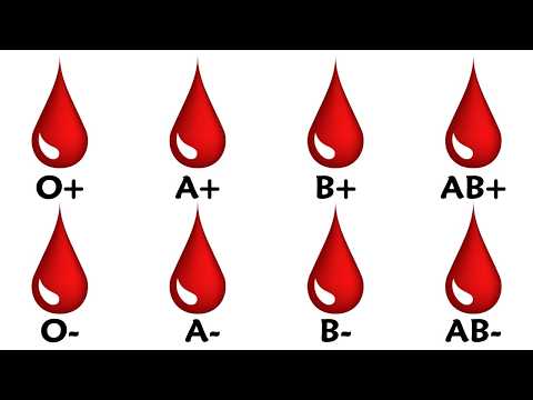 Jeder Verborgene Vorteil Ihrer Blutgruppe Erklärt