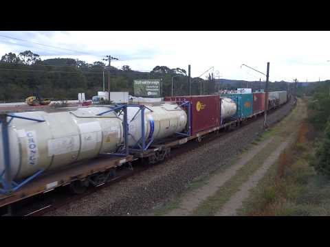 Quad NR's elephant style with PN 6NY3 - 28/7/17