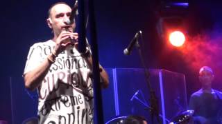 Celtas Cortos (Madera de Colleja)