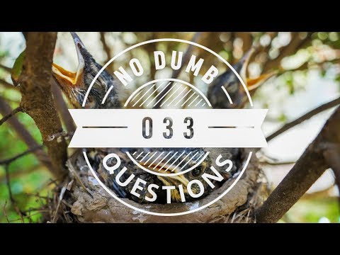 No Dumb Questions 033 - Visiting Israel
