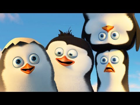 Capa de Os Pinguins de Madagascar