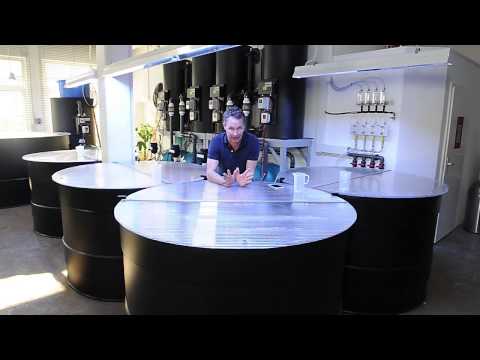 Modern Koi Blog #77 - Ozon