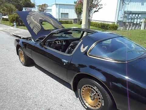 1981 Pontiac Firebird Trans Am WS6 (CC-1235364) for sale in Apopka, Florida