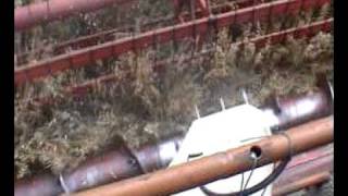 preview picture of video 'Bizon Z056 i bocian bialy przy koszeniu owsa'