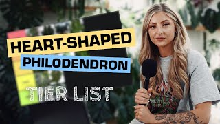 Ranking Heart-shaped Philodendrons = Tier List