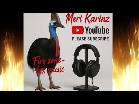 FIRE ZONE-Meri Karinz /PNG MUSIC @png-music-distributor