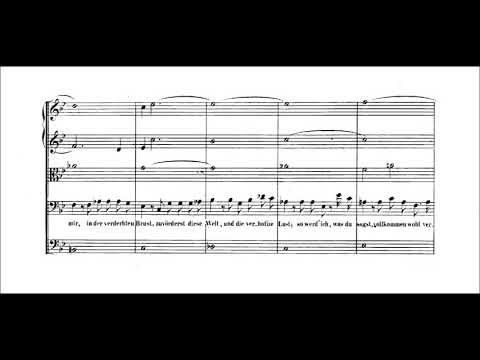 SP's score videos