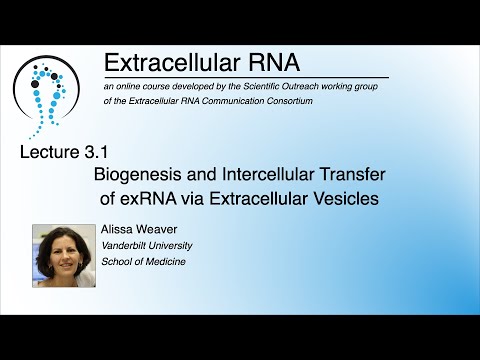 Biogenesis and Intercellular Transfer of exRNA via Extracellular Vesicles - Alissa Weaver