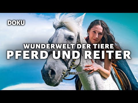 The Wonderful World of Animals – Horse and Rider (German animal documentary, horse documentary)
