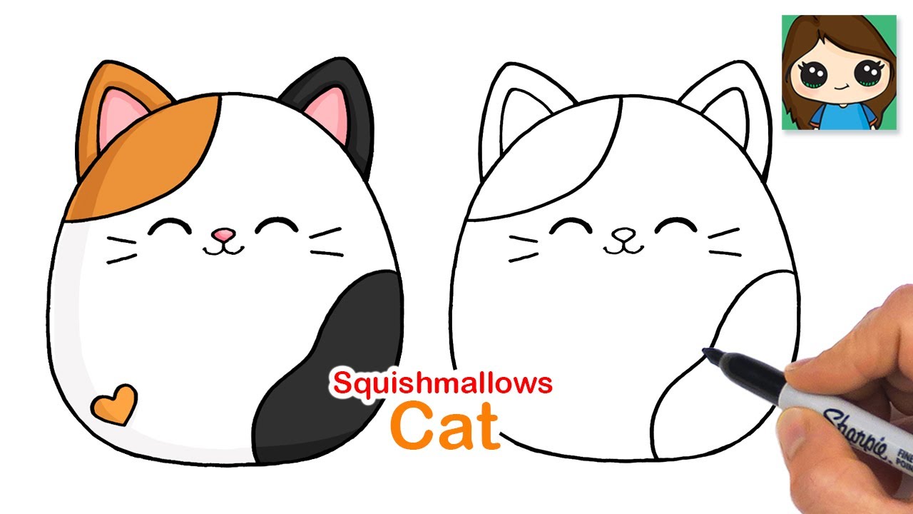 How to Draw a Cute Cat Easy | Squishmallows