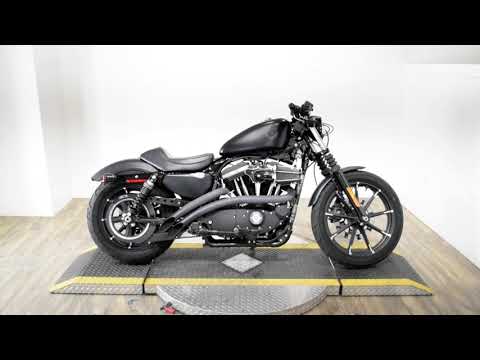 2019 Harley-Davidson Iron 883™ in Wauconda, Illinois - Video 1