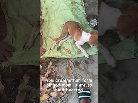 Mom taking care of pet