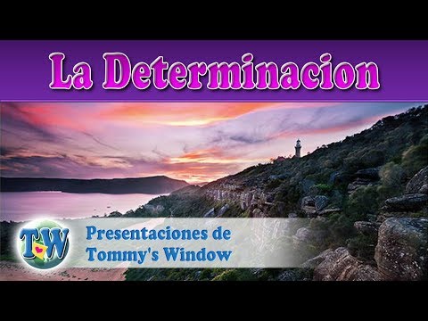 La Determinacion - Presentaciones de Tommy's Window Español