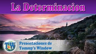 La Determinacion - Presentaciones de Tommy's Window Español