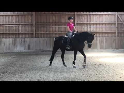 Faunus 07.2020 vor Abholung bei Nicole Hofmann Video 5 - IMG 1303