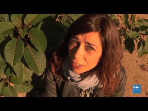 4.2. EISA Video Shooting Tips - Camera Movements 2