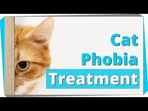 Exposure Treatment for Fear of Cats (Ailurophobia)