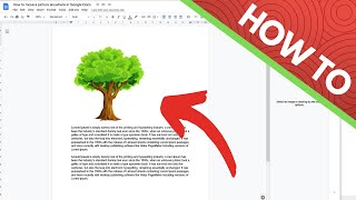 How to move a picture anywhere in Google Docs