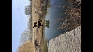 Csodaszép birtok tóval,  lóistállókkal nagyon kedvező áron