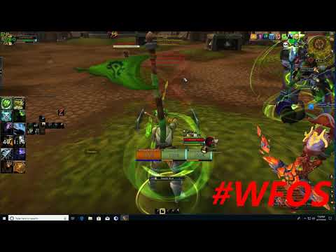 WFOS- With Marringa (OG MULTIBOXING HEALER! Rdruid!)