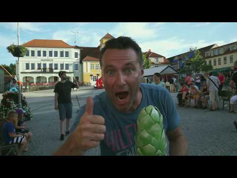 VOTICKÁ CHMELOVÁ ŠIŠKA 2017
