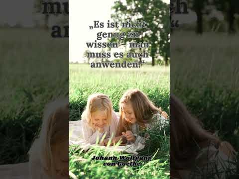 Wissen allein reicht nicht. Kinder brauchen Erfahrung! 📚💡 #sprüche#liebe #zitate #motivation#shorts