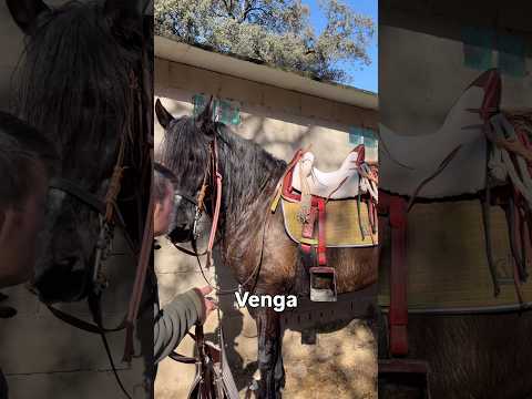 Cuidando al hermano! 😊