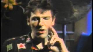 Robyn Hitchcock - Interview + Live Toronto 1989