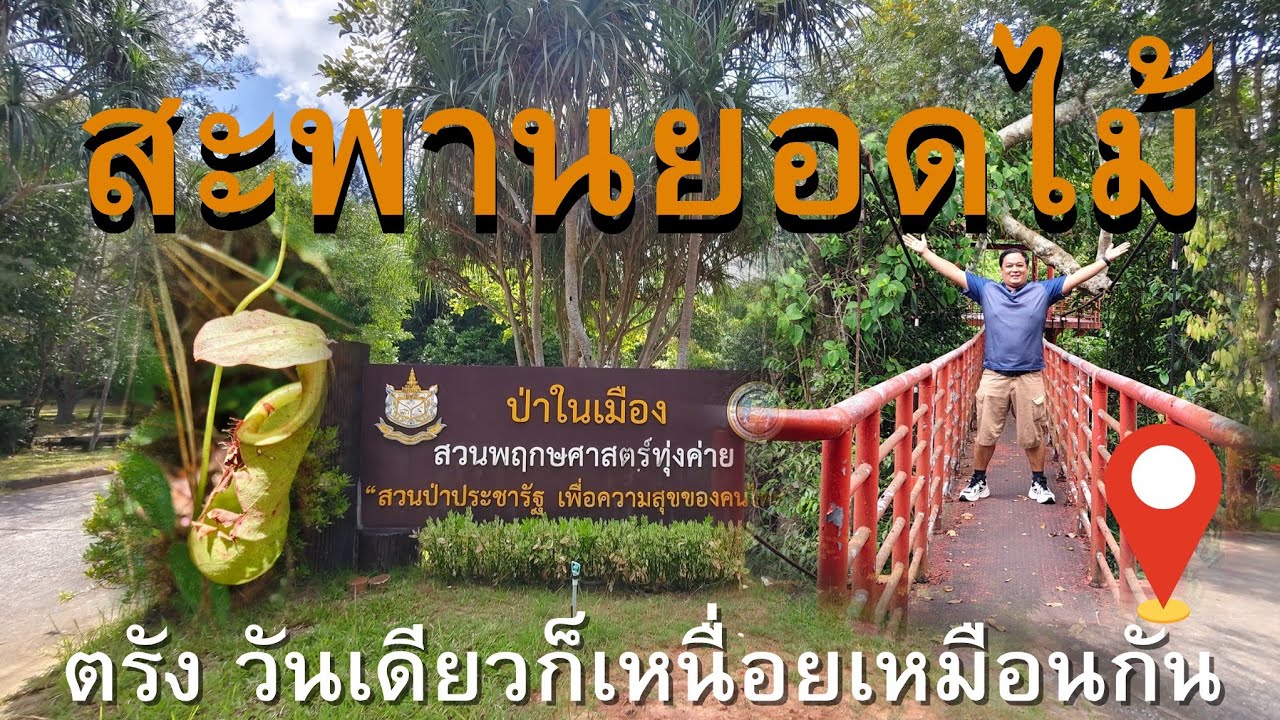 Peninsular Botanical Garden (Thung Khai)