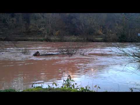 The river wye in flood today