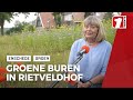 Beter een 'groene' buur dan een verre vriend